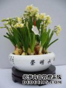 古老的上海崇明味道的记忆固定在过去