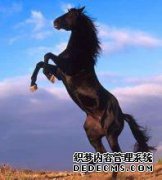 在2019年，十二生肖的三大标志，吸引金