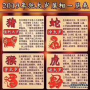 在2019年，幸运的爱情是惊人的。什么样