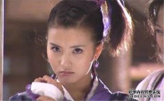 新版“天龙八部”开始于美国通过展览