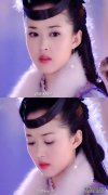 狐狸，除了痛苦，四个漂亮的“莲花莲