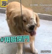 这很有趣：我从未想过你会成为这样的