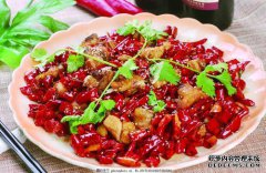 香辣鸡肉，一种美味的新方式，不添加