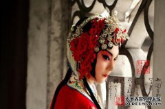 ？你觉得胡静的电视连续剧“天一无缝