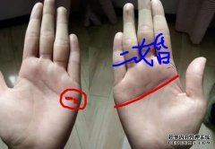 这种类型的棕榈人在结婚后很开心。