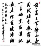 湛的意思