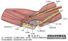 无法解释的神经炎能存活多长时间？