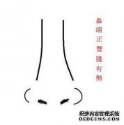 很高兴看到鼻子看起来如何。