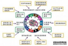 什么是运气癌症？