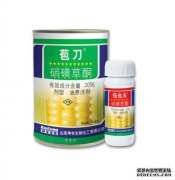 有关农药的基本信息。