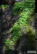 [在南山岩上]