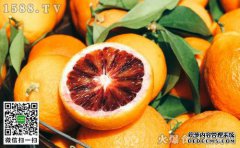 像血液一样吃橘红色有罪吗？