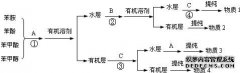 由苯制备苯胺的方法
