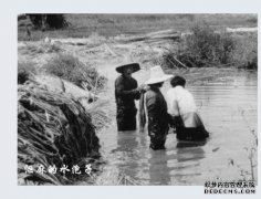 沤是什么意思？