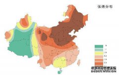 中国大家庭网络-唐家