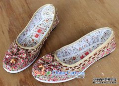 DNA片段在胎儿染色体Xq27.1区域复制