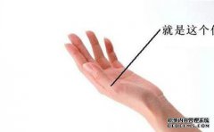 指关节在哪里？
