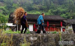 暑假之旅稻崎湖自助旅行指南，发现餐