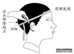 前后鳍形状