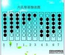 [6孔单簧管]6孔单簧管价格