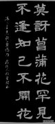 [莫惊讶地分裂]