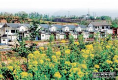 和平和平与解放谈判——C木五桥村！