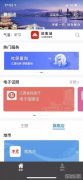 下载服务服务申请表