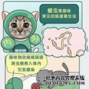 从嘴里出来的龙虾怎么了？
