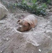 无人是什么意思？