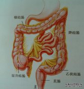 什么是直肠检查？直肠检查期间应注意
