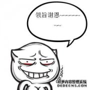 下一个是魏晨