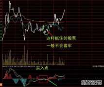 动作是什么意思？