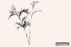 [一束竹子]