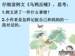 乌鸦吃什么？