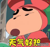 “ 4个机构不起作用”的下一句是什么？