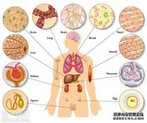 PU管的主要目的是什么？