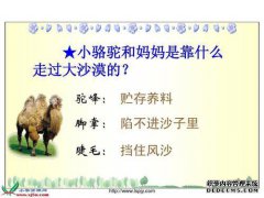 叫张的男孩的名字最好听狗的名字。