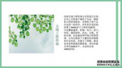 安阳可以成为可行性研究报告公司（可