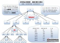 傧抛抛抛抛抛抛