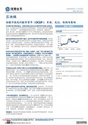 中央银行最近提出的DCEP是什么？