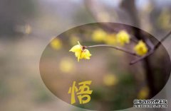 从修佛到佛陀的5个步骤