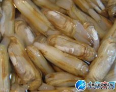 帮助蝎子将筷子快速彻底吐出的筷子