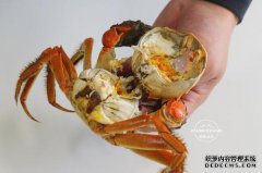 “可以吃黄色的螃蟹吗？可以吃吗，因