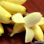 [香蕉品种]帝王香蕉品种（小米香蕉）好