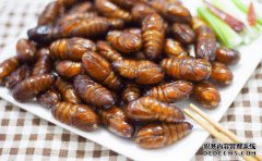 什么比蚕豆小？