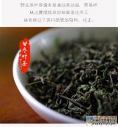 代理代代：北海叶茶，叶茶的一般功效