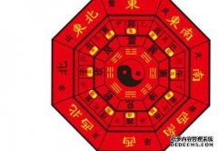 家庭八卦知识