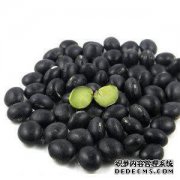 3天后从同一房间开始使用Kanshish的疗程