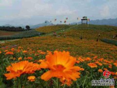 东G县芦山古湾华海旅游管理有限公司