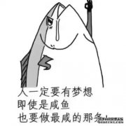 “大量的公平的霍兰气是什么意思？